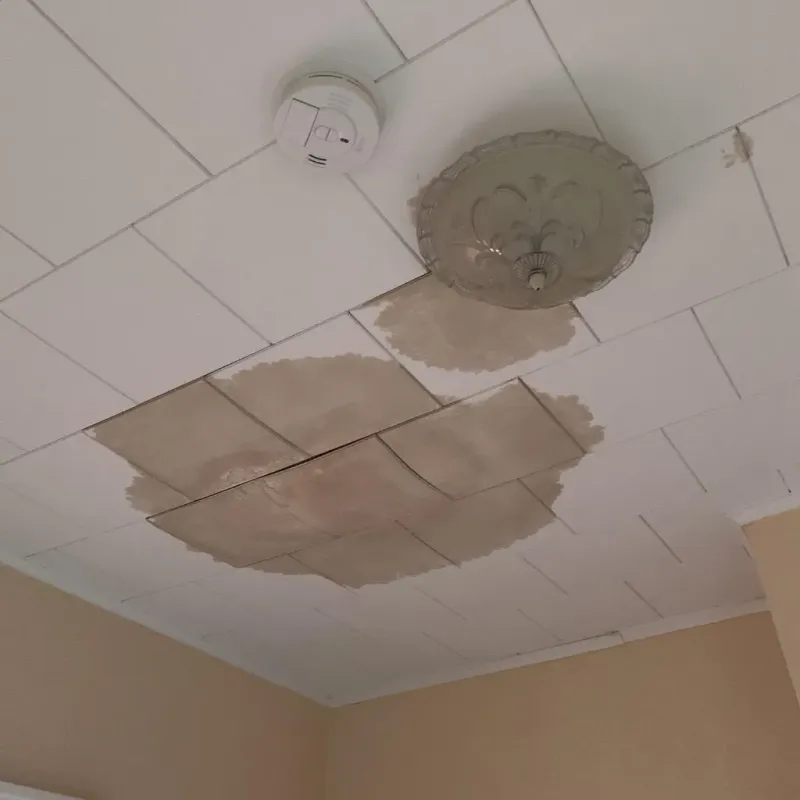 Ceiling Water Damage Repair in Claiborne County, MS