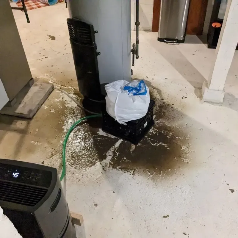 Sewage Backup Cleanup Service in Claiborne County, MS